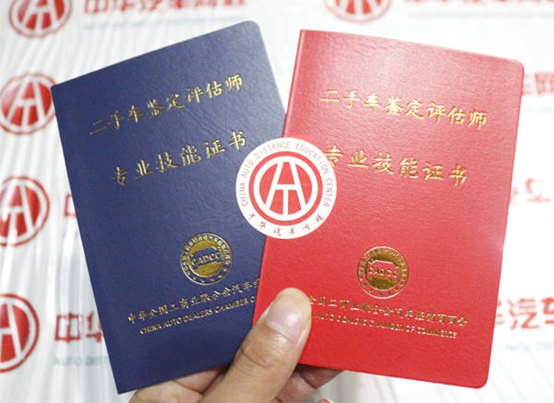 在汽车的日常使用中，定期进行保养是确保车辆性能和延长使用寿命的关键步骤。今天我们就来对比分析一下不同保养方式的优势与劣势。